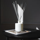 Scent inspired by Daily Routine Shampoo